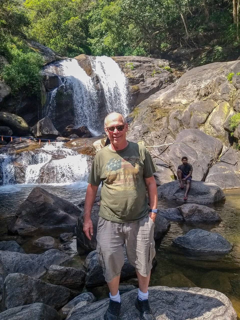 Surrounding Vaga Trees