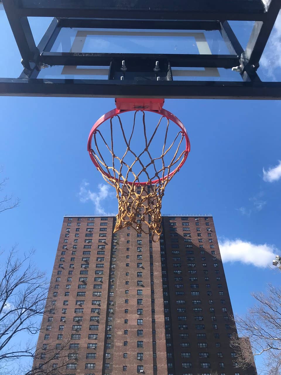 Summer Pro-Am Leagues