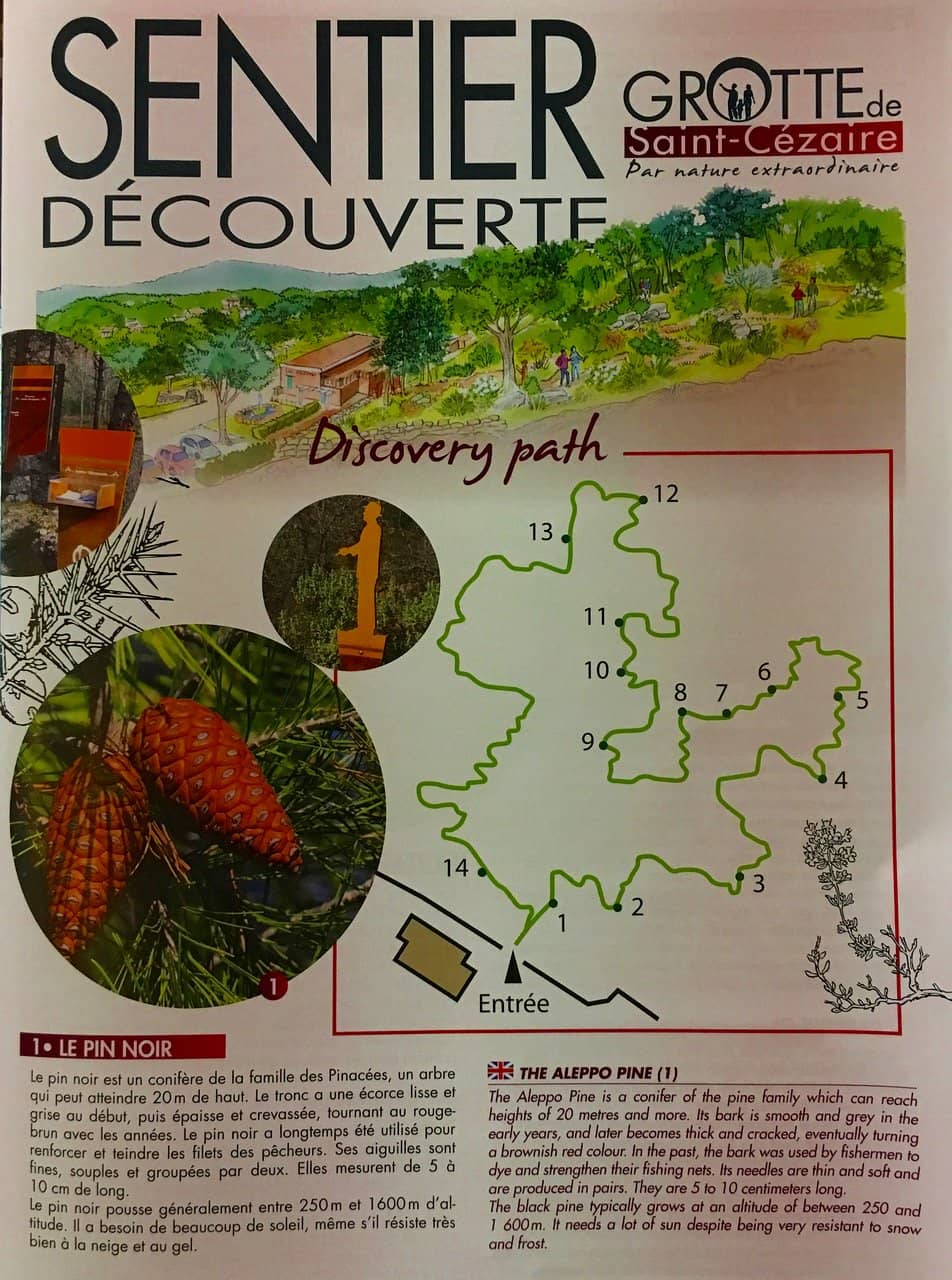 Enchanting Ambient Lighting