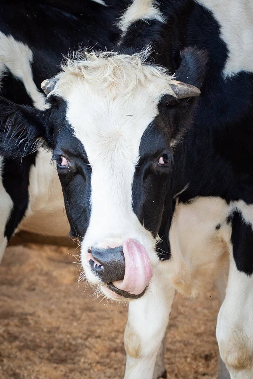 Bellingham Bay Views