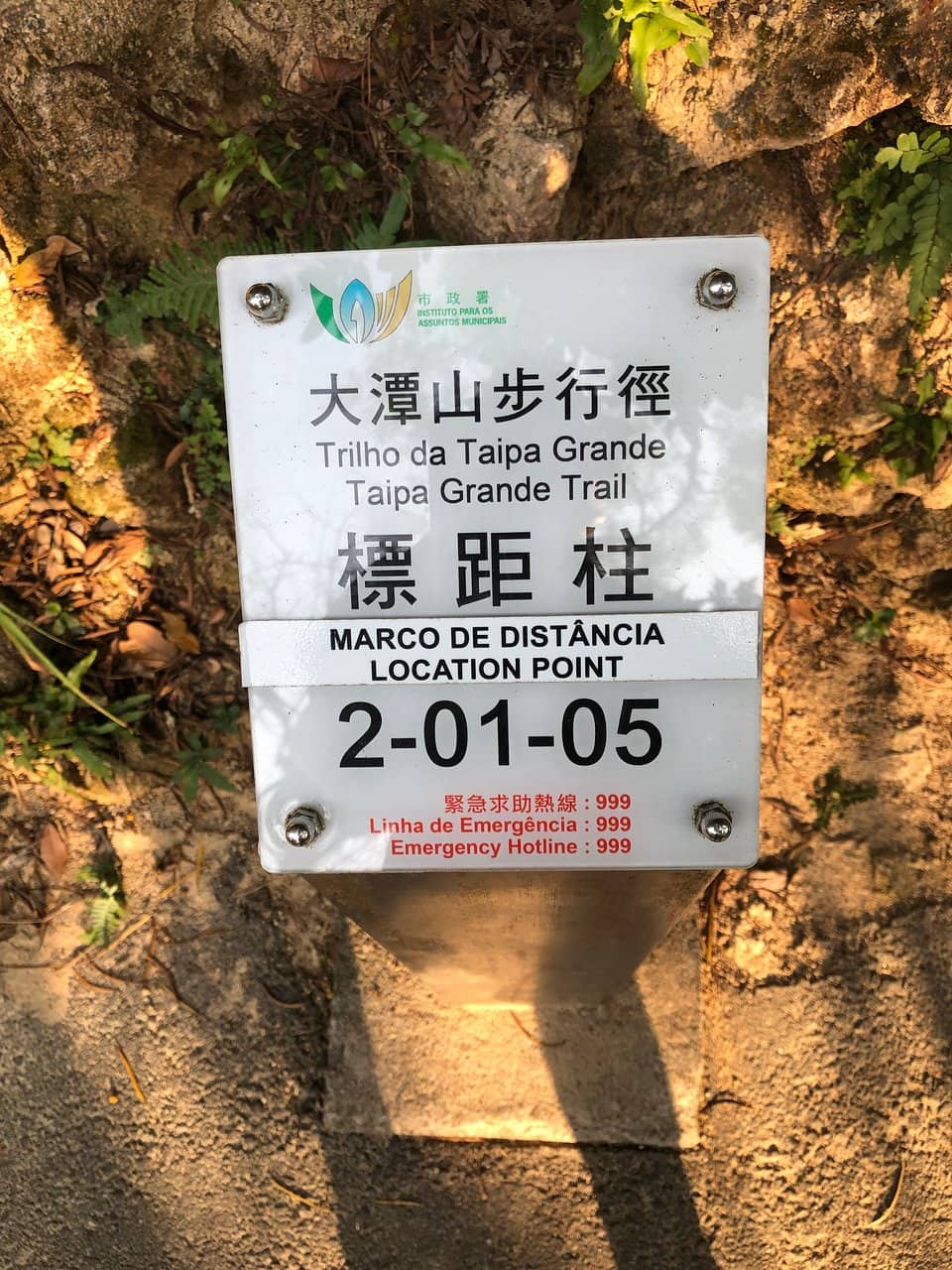 Panoramic Macau Views