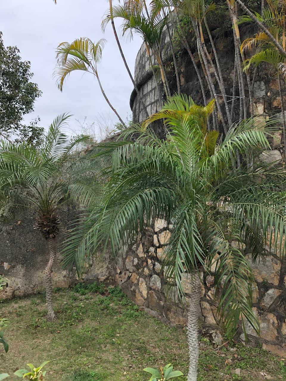 Tranquil Park Surroundings
