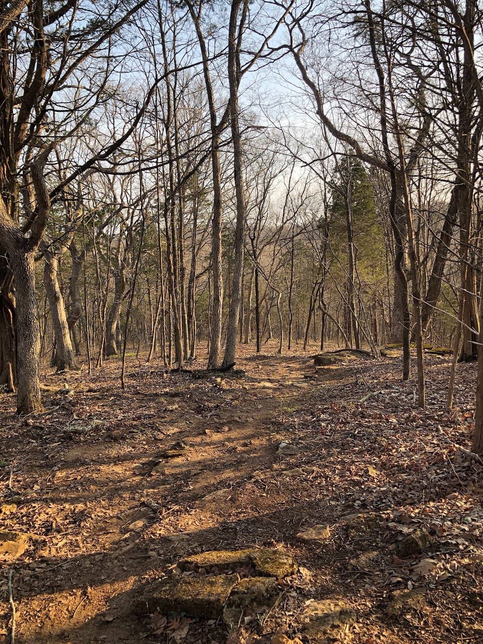 LaBarque Creek Water Features