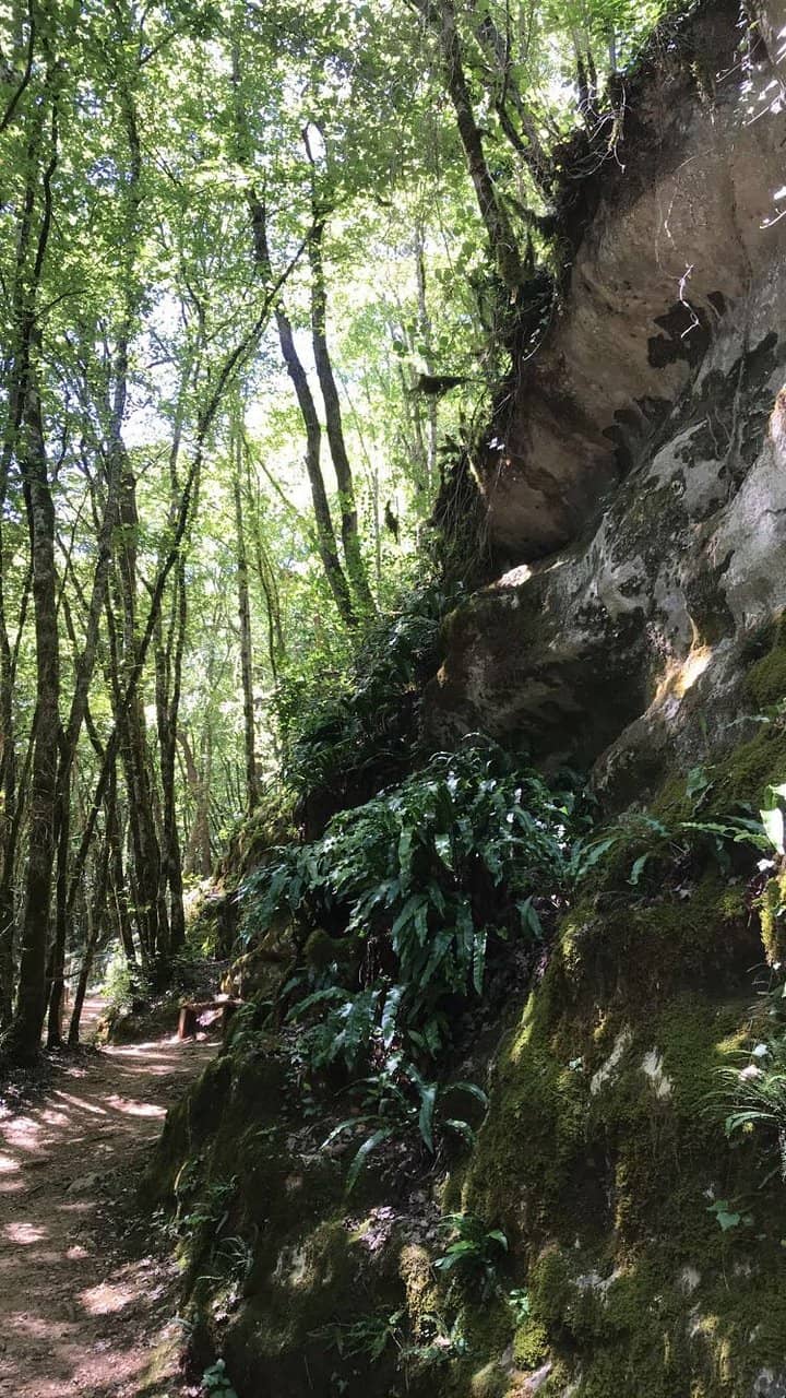 Preserved Nature Trails