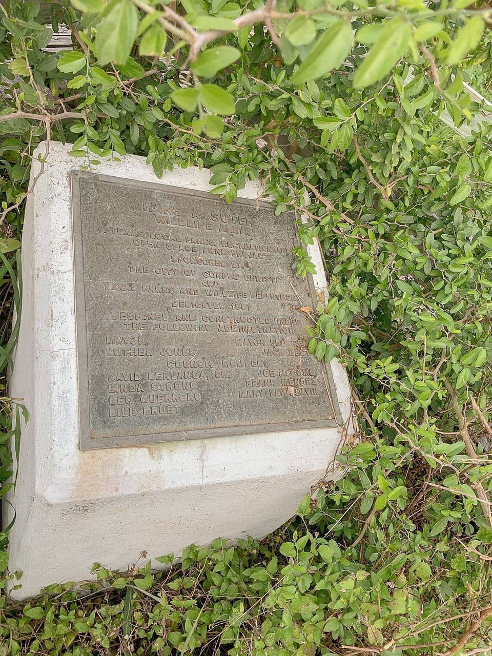 Birdwatching Paradise