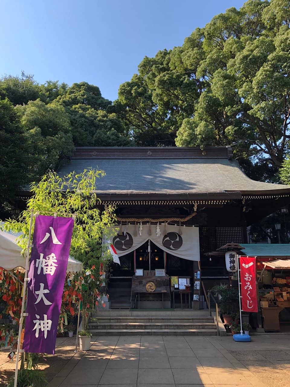 Sumo Wrestling Matches