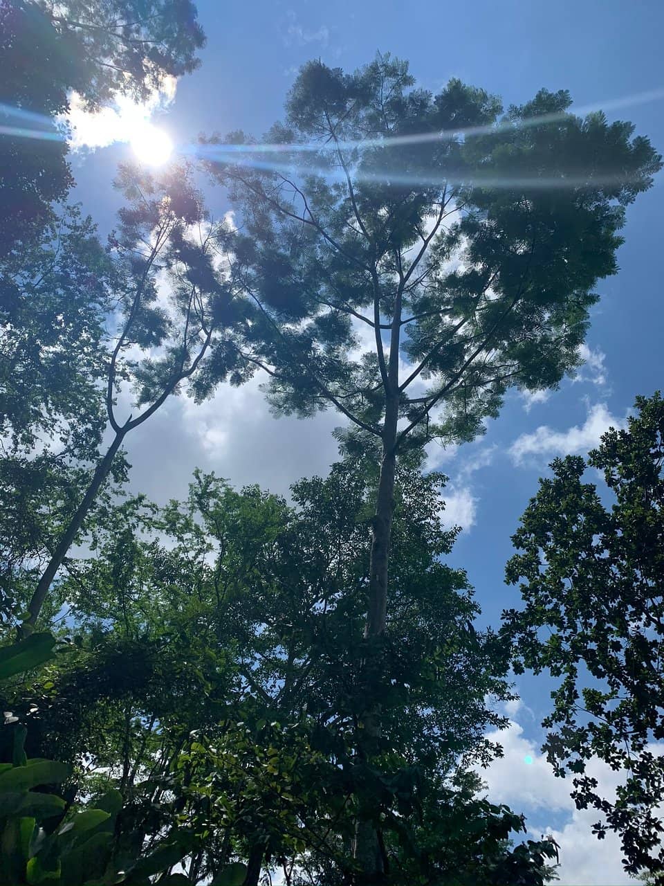 Playground & Fitness Zone