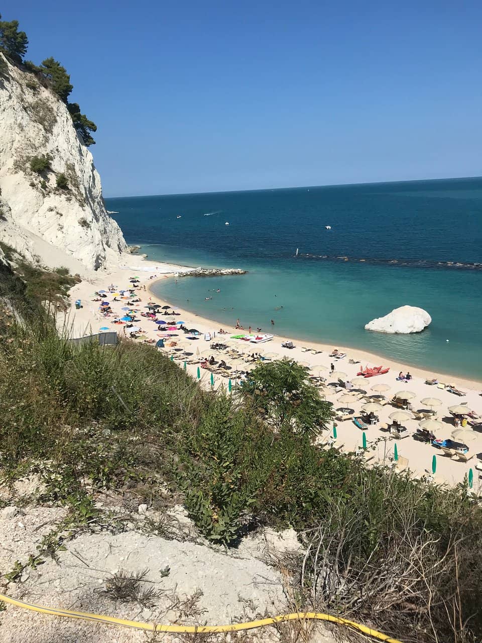 Wild Goats of Monte Conero