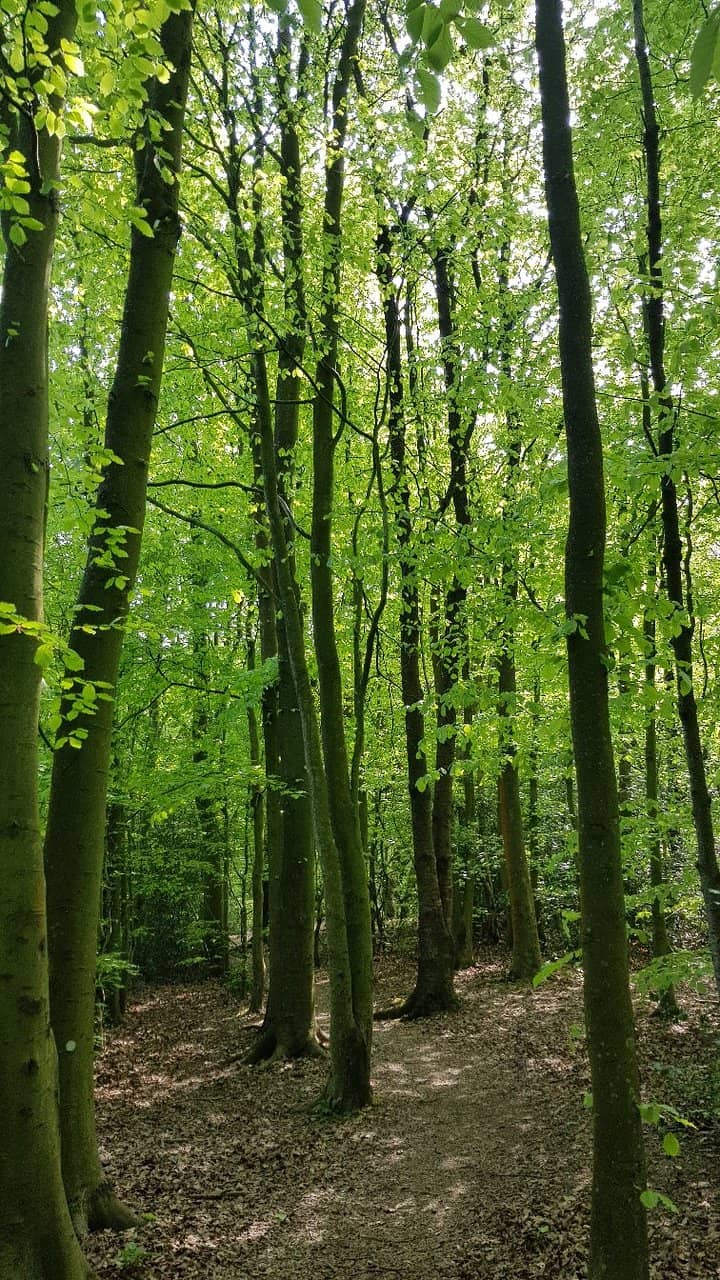 Hurst Grange Coffee House