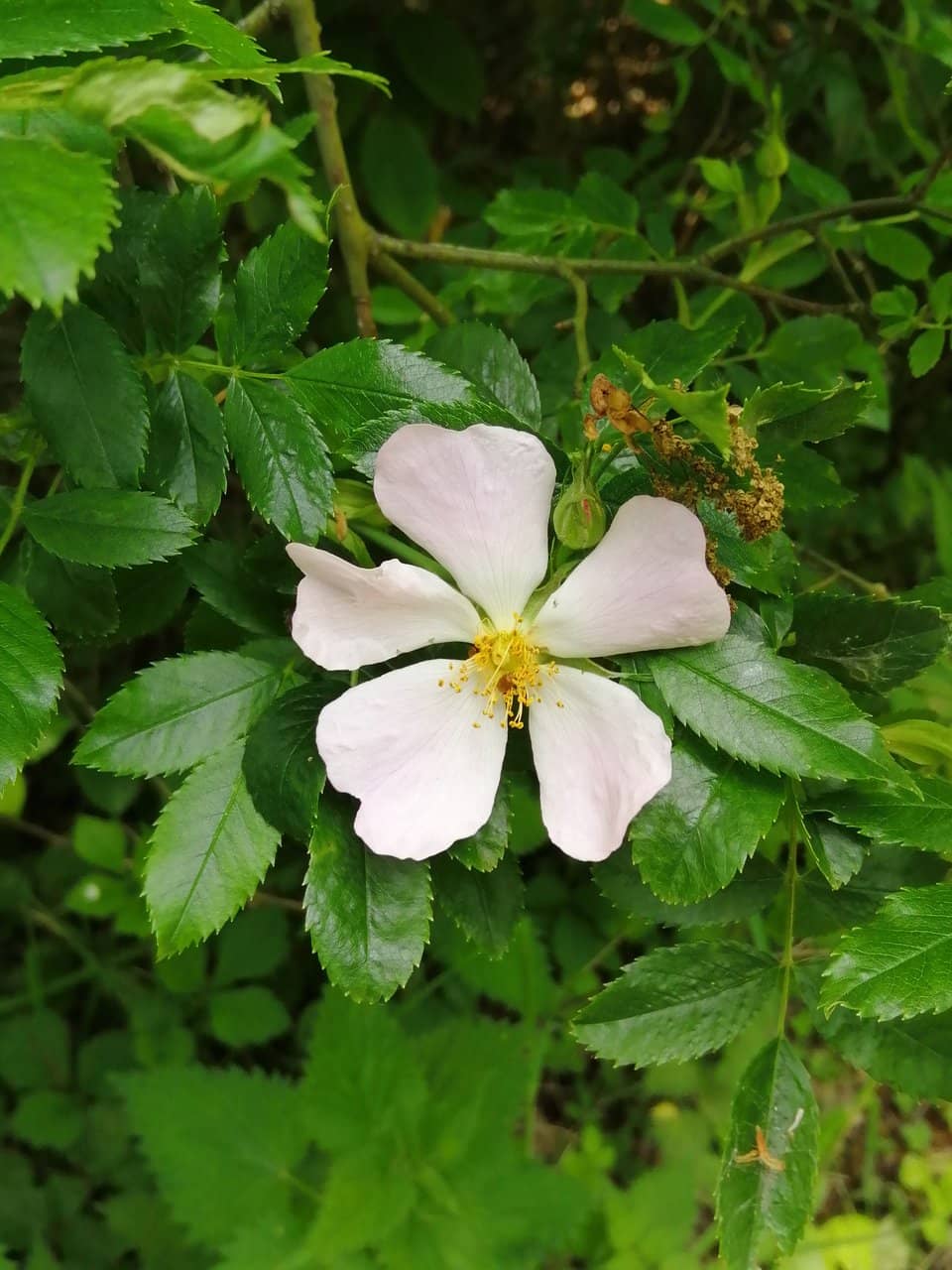 Peaceful Picnic Spots