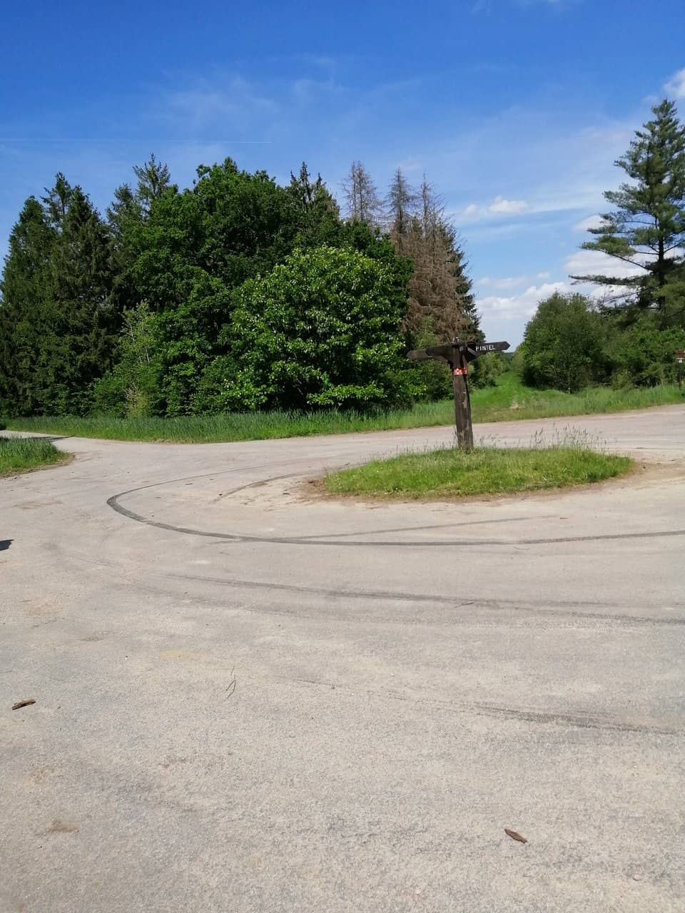 Abundant Flora and Fauna