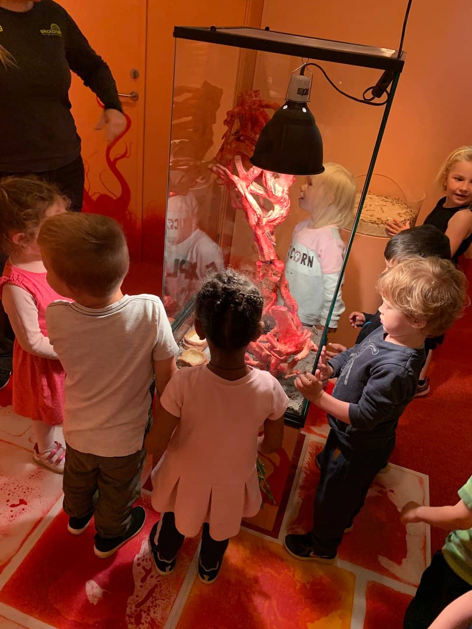 Ocean Plastic Exhibit