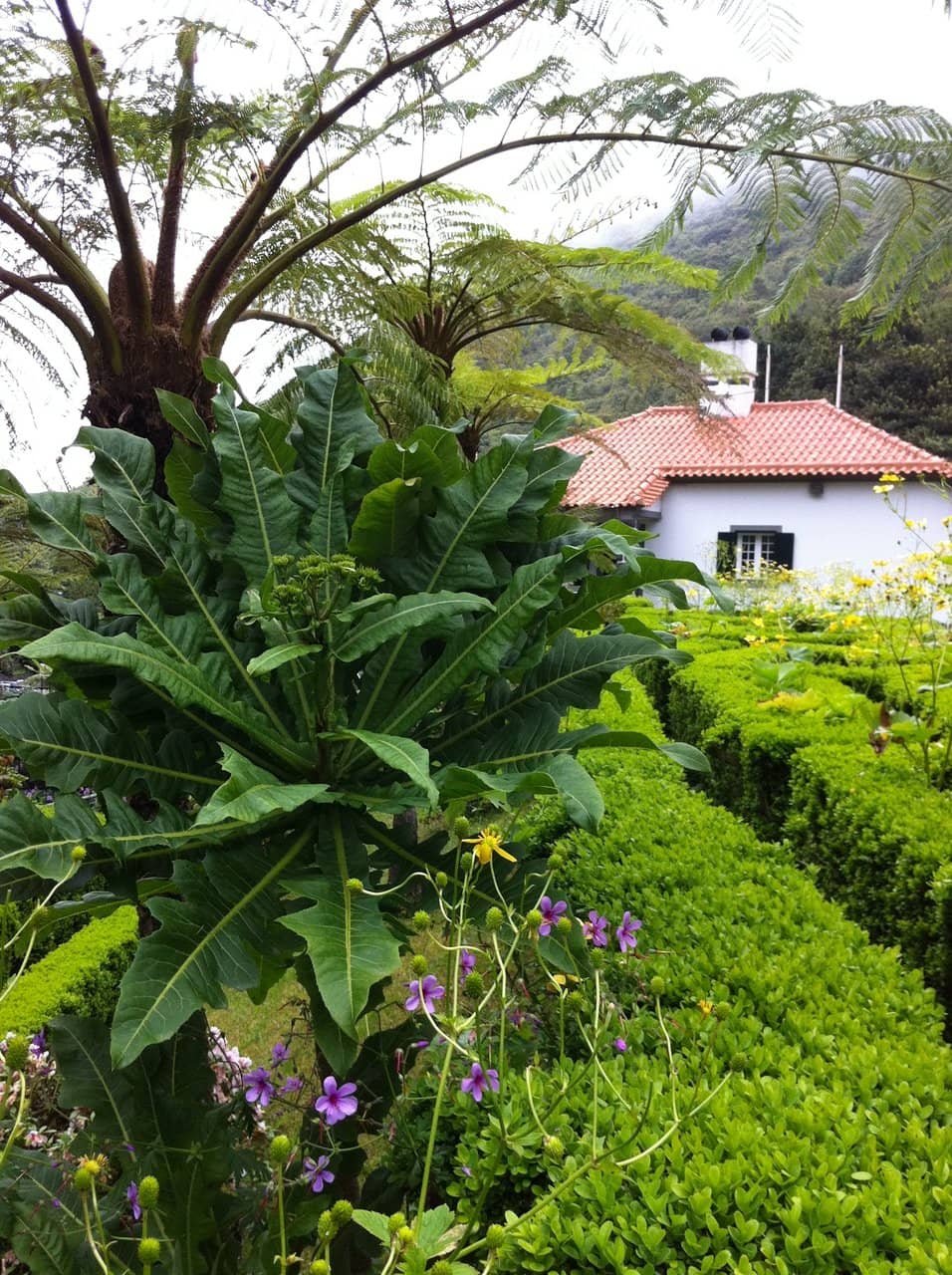 Levada do Furado