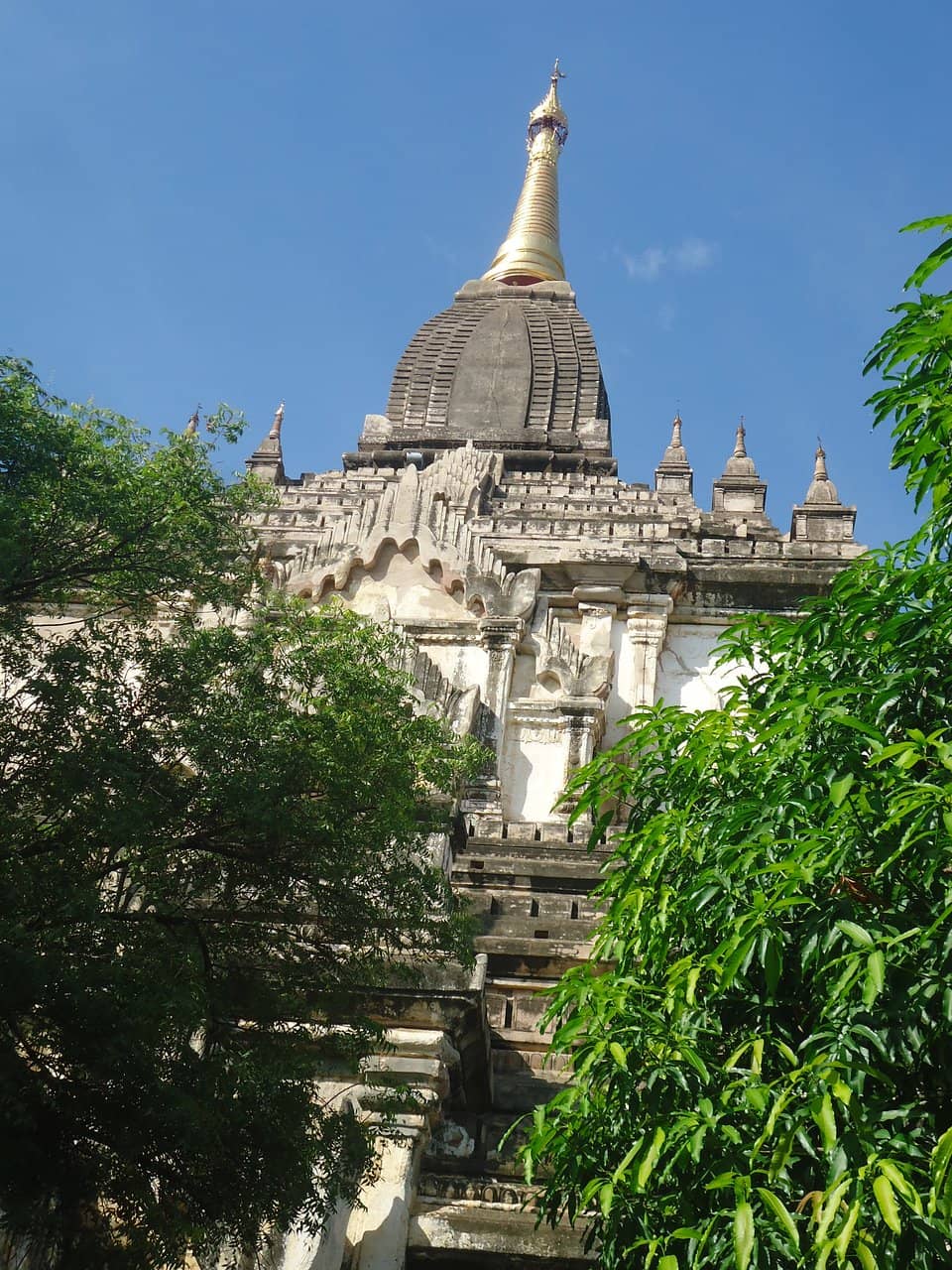 Vertical photo