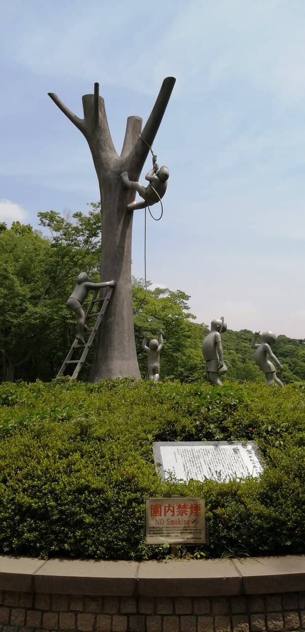 Flower Gardens & Cherry Trees