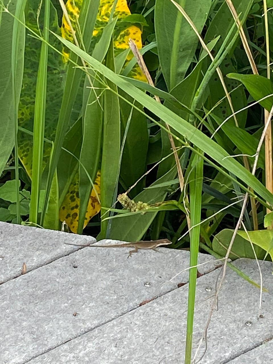 Connecting Parks & Trails