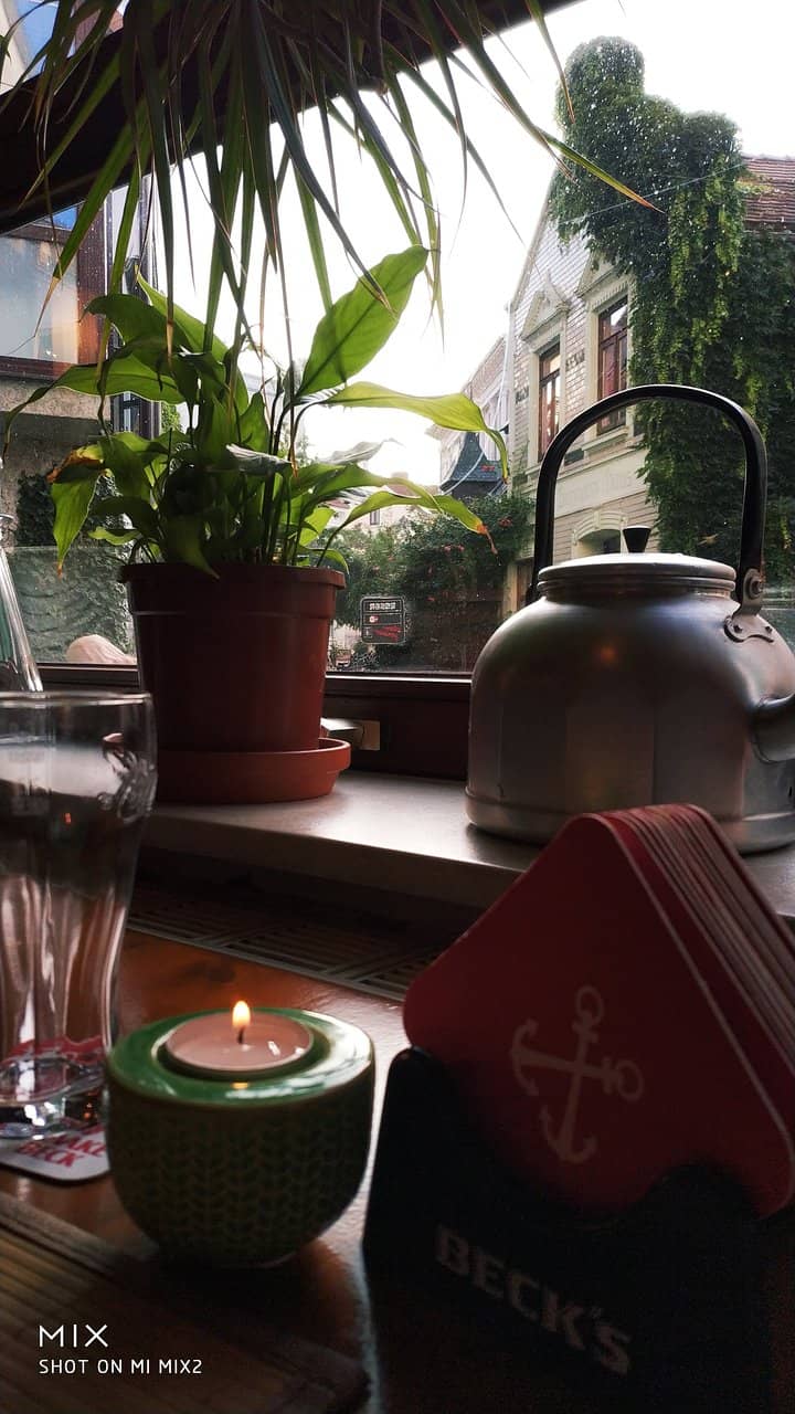 Seasonal Specialties