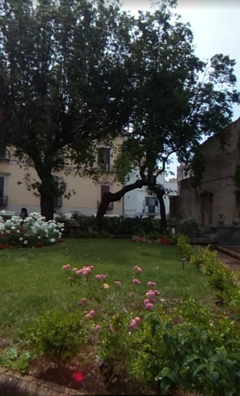 Summer Evening Performances