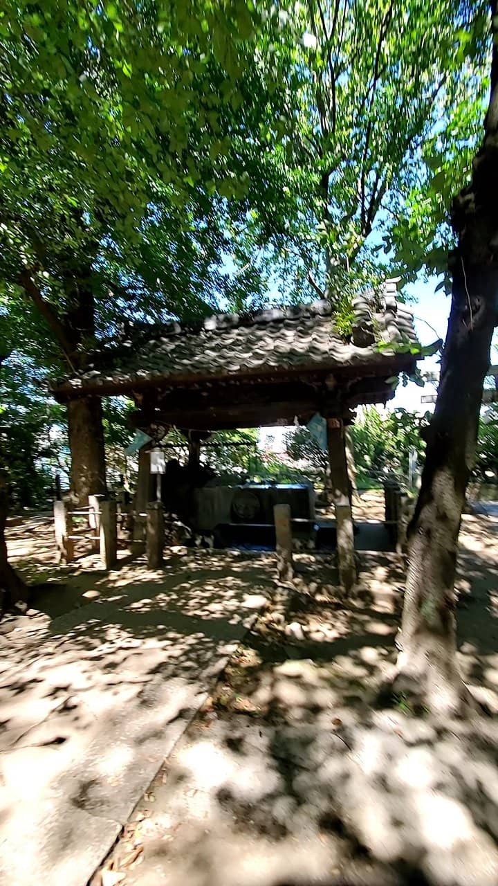 Guardian Dog Statues