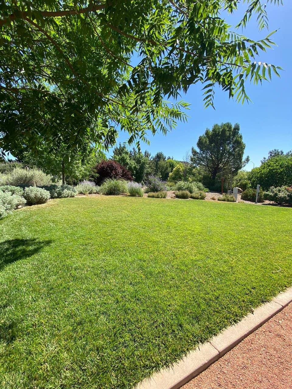 Shaded Nature Trails