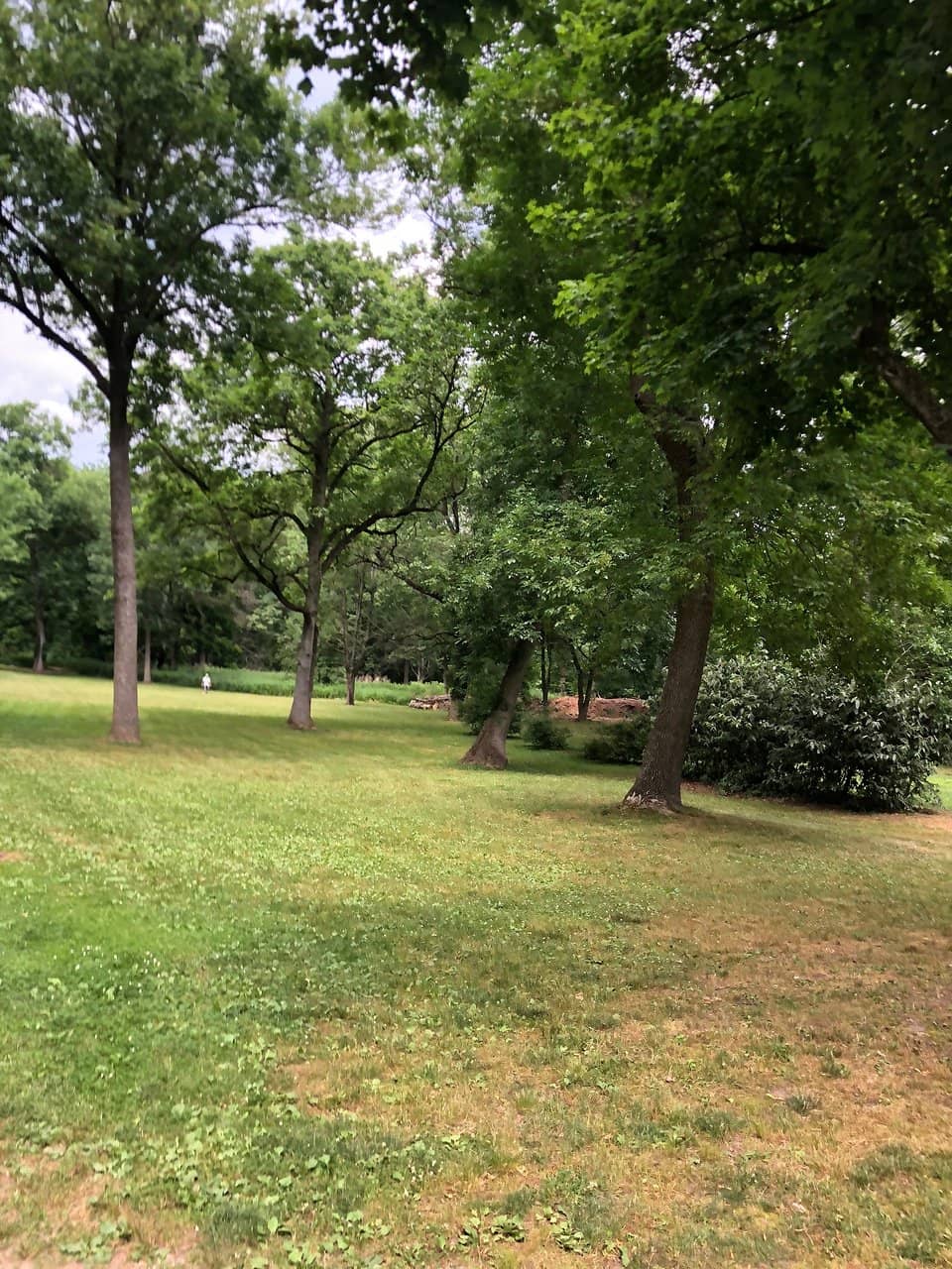 Mississippi River Views