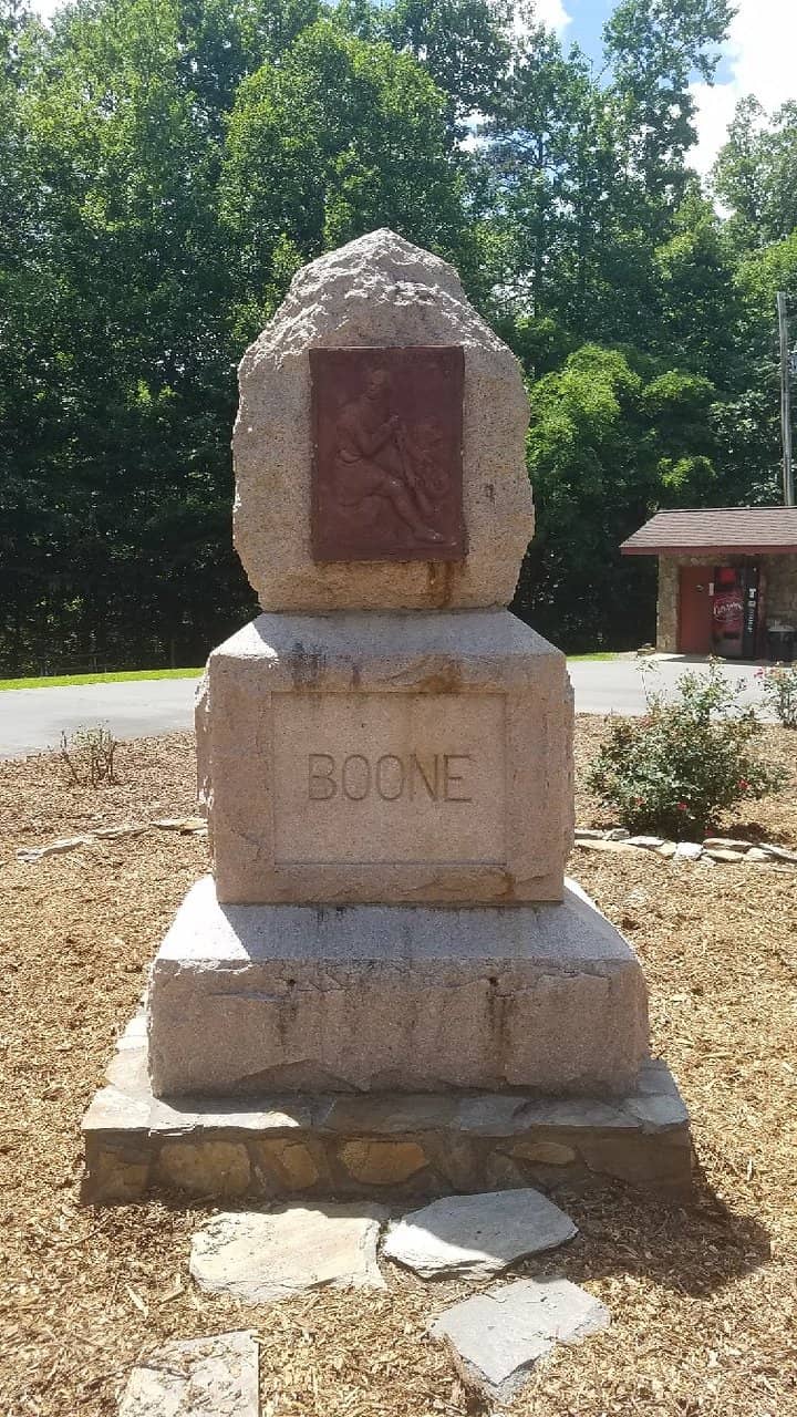 Giant Cottonwood Tree