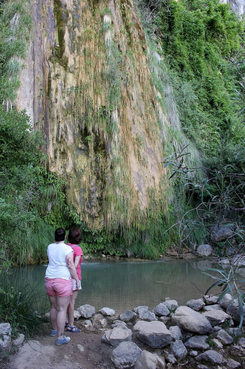 Wooden Bridges & Passarelas
