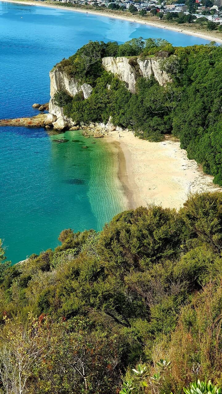 Shakespeare Cliff Views