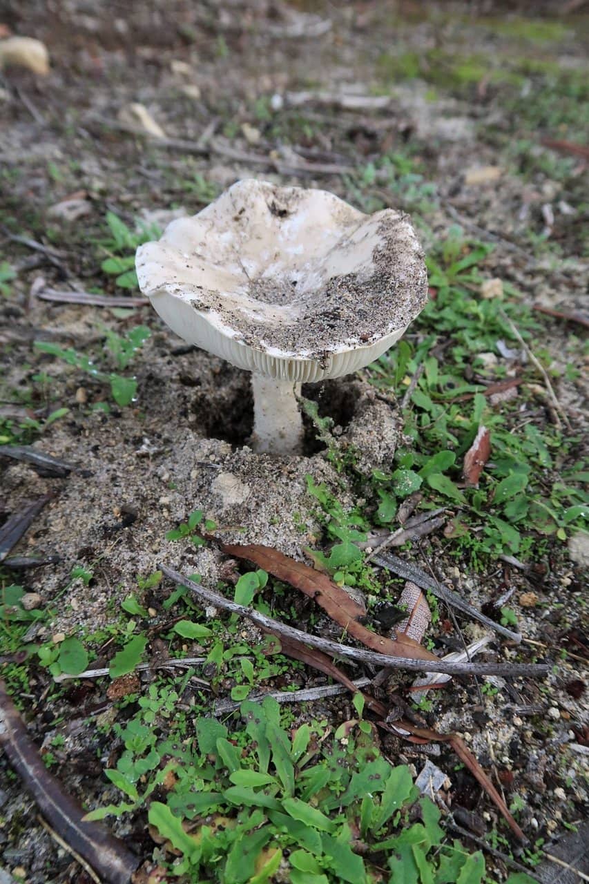 Peaceful Nature Walk
