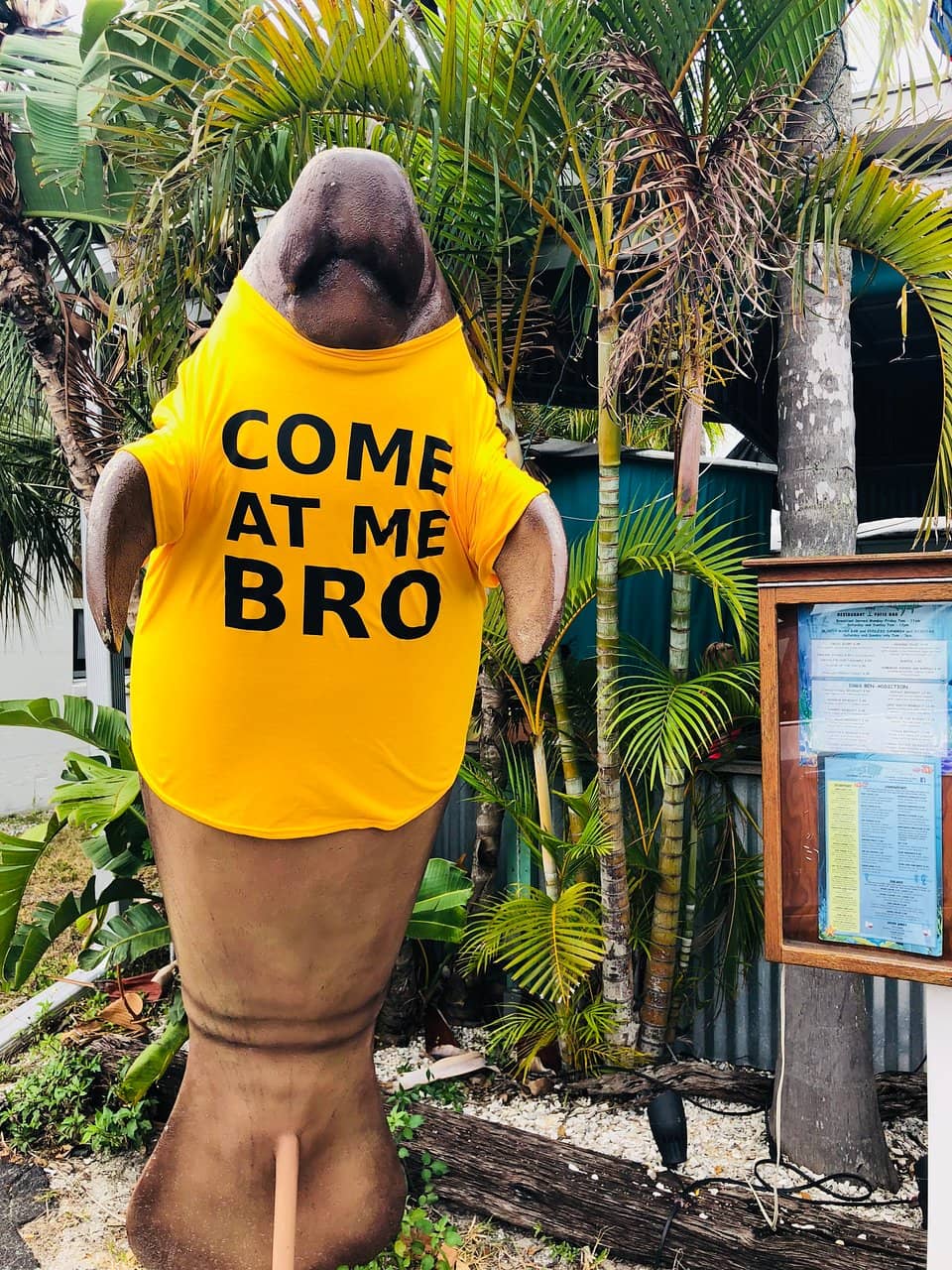 Fresh Seafood in Beach Setting