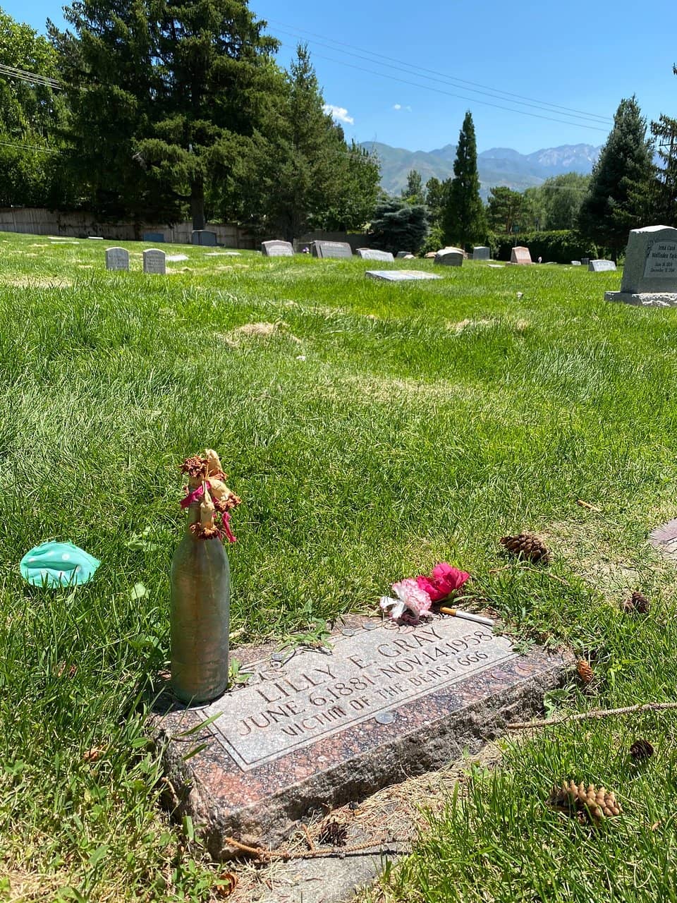 Matthew Robison's Tombstone