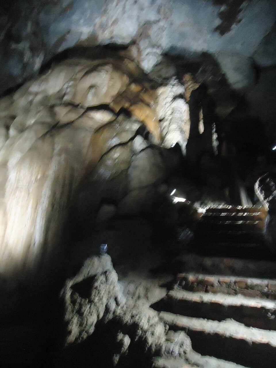 Panoramic Rice Field Vistas