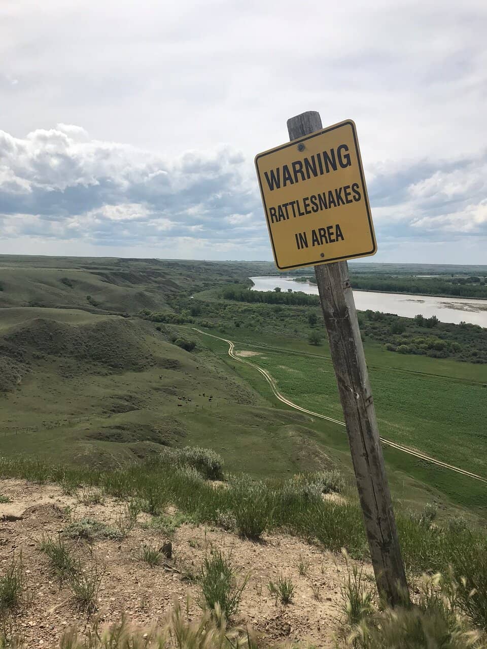 Tranquil Nature Escape