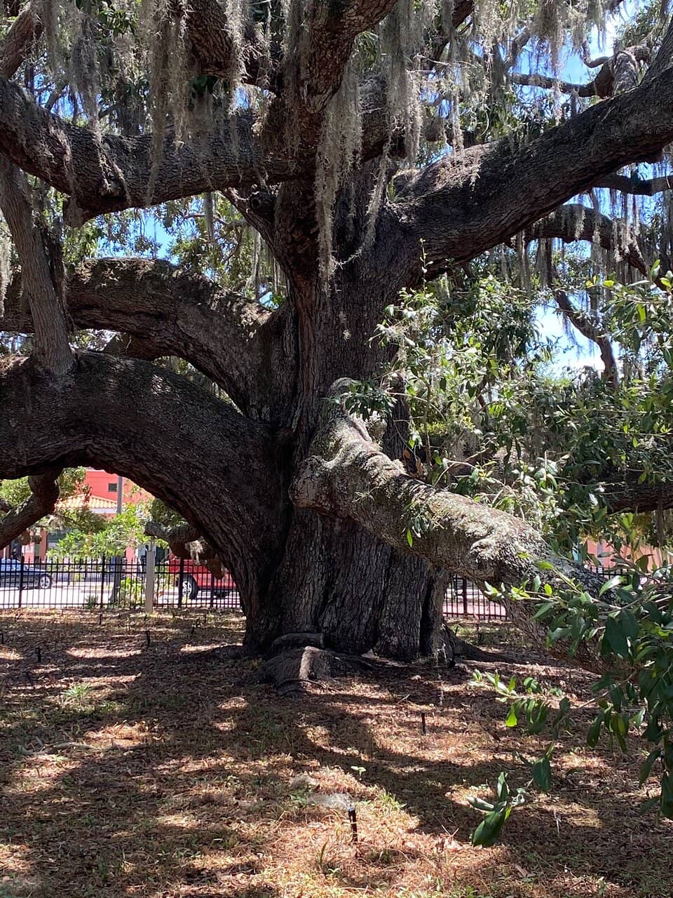Shaded Relaxation Spots