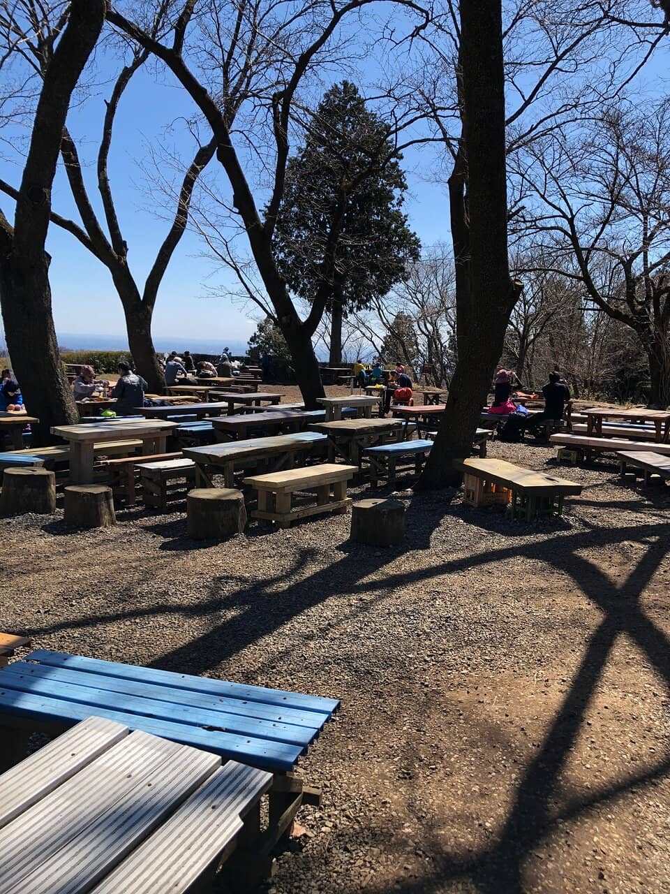 Spring Flower Spectacle