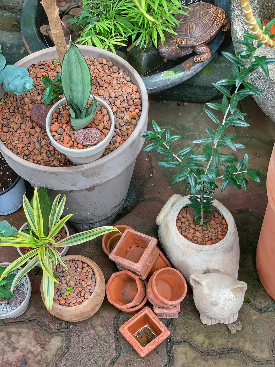 DIY Flower Arrangements