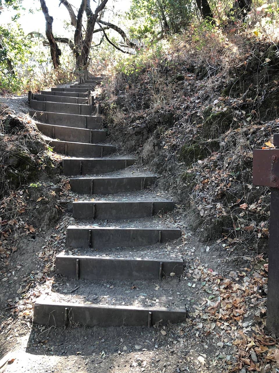 Scenic Hiking Trails