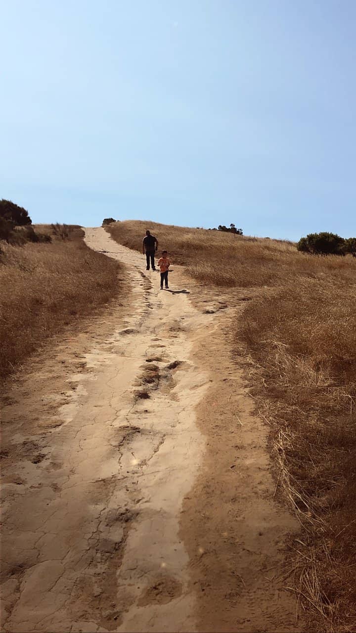 Well-Maintained Playground