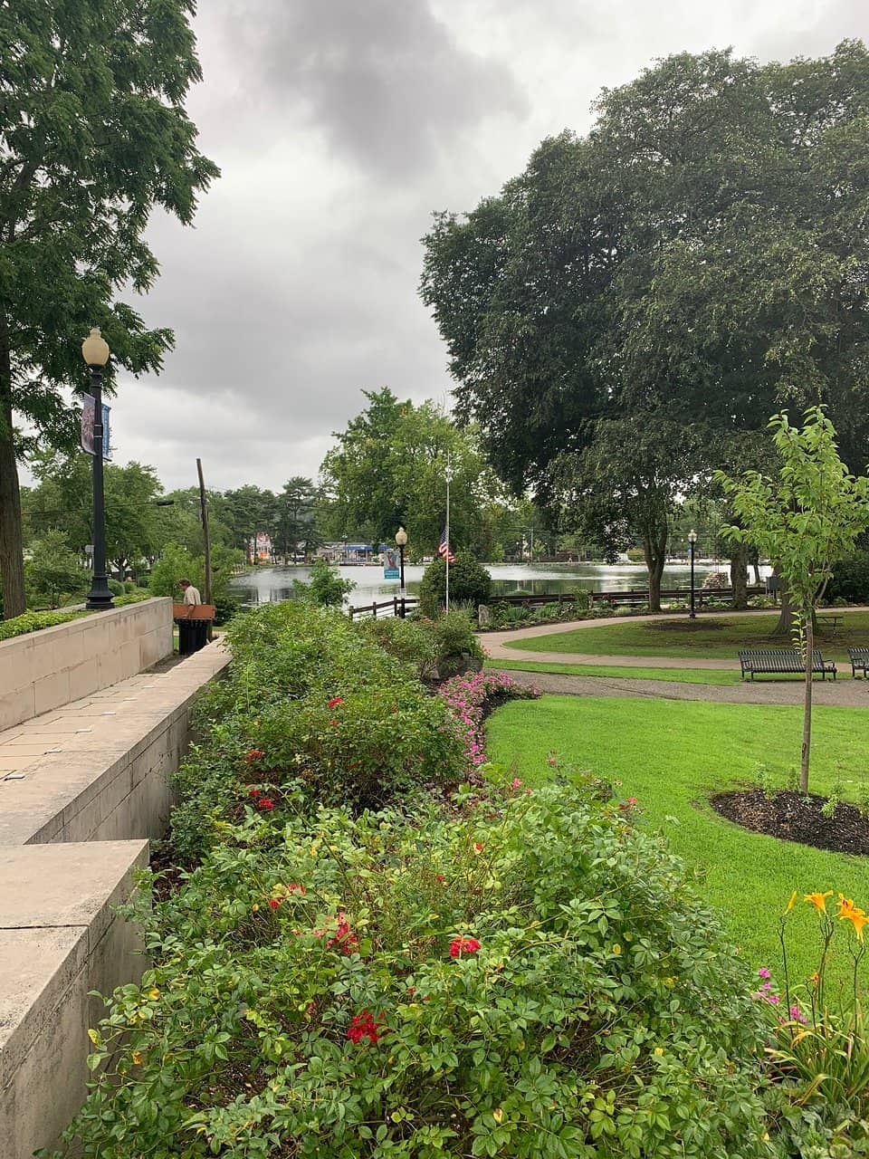The Pond and Wildlife