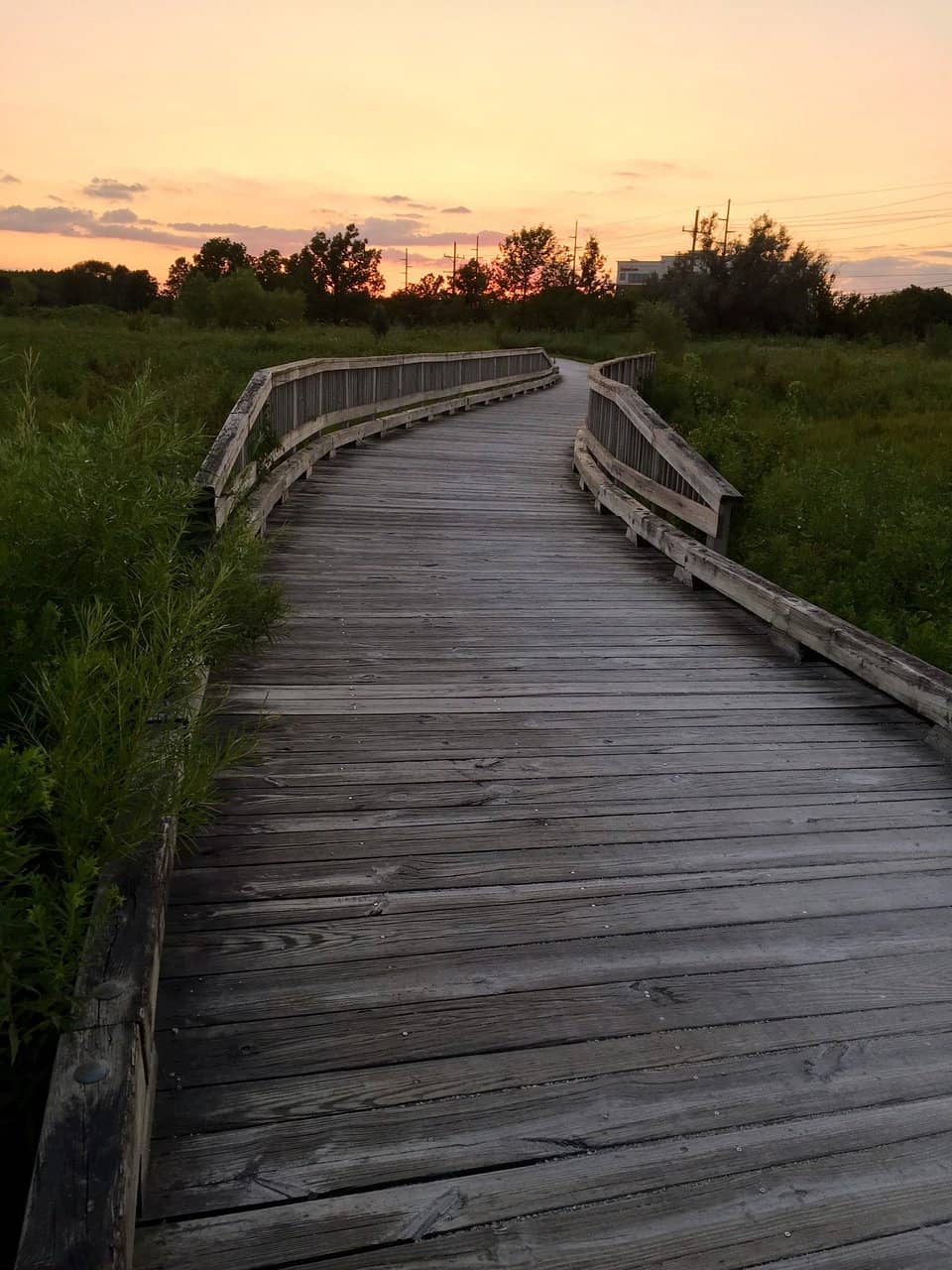 Prairie & Woodland Trails