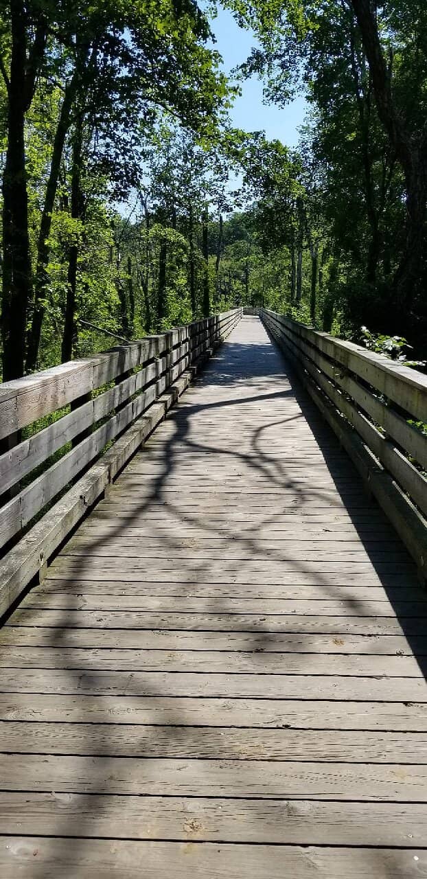 Aquia Creek Boardwalk