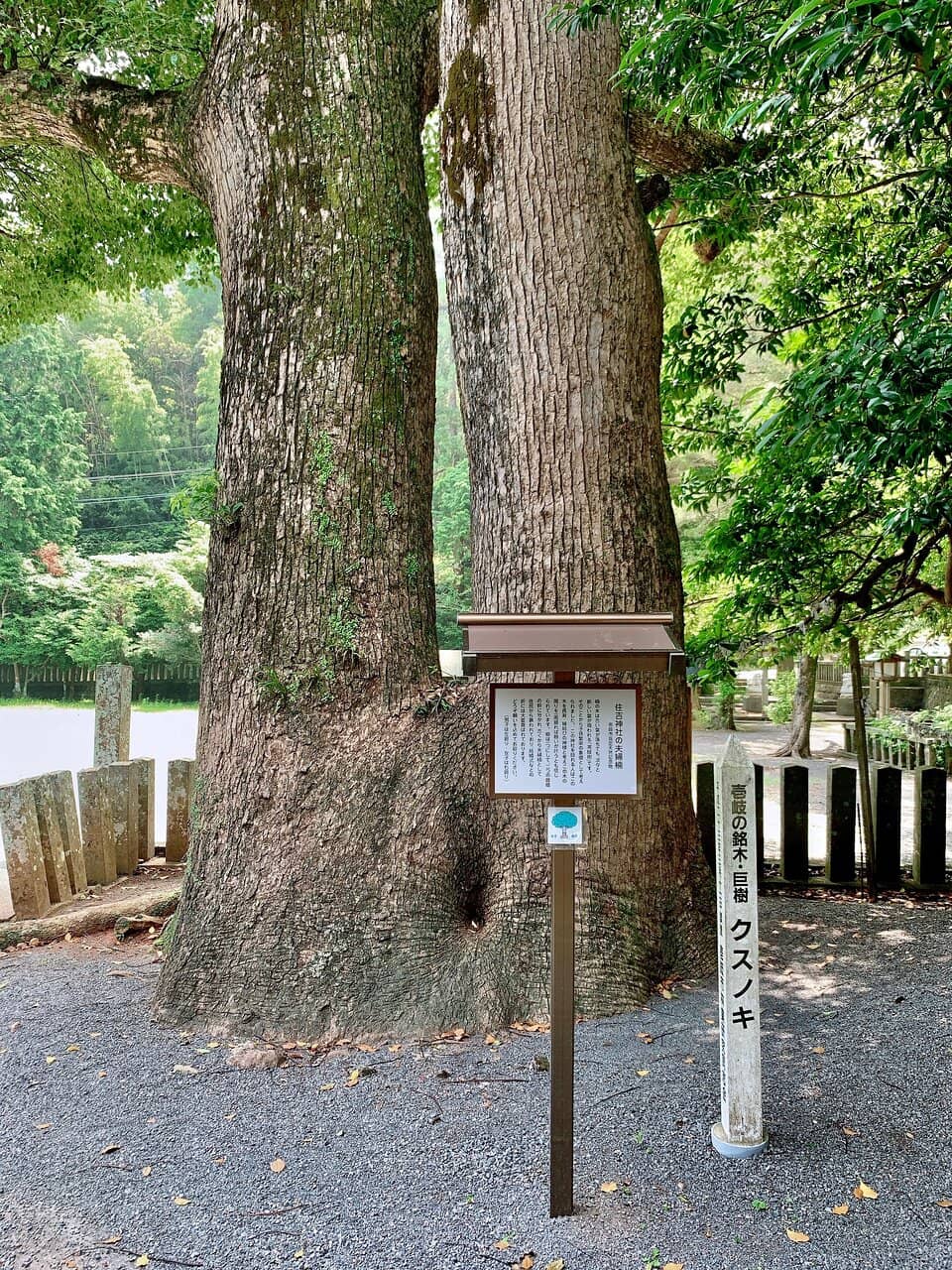 Shrine Grounds