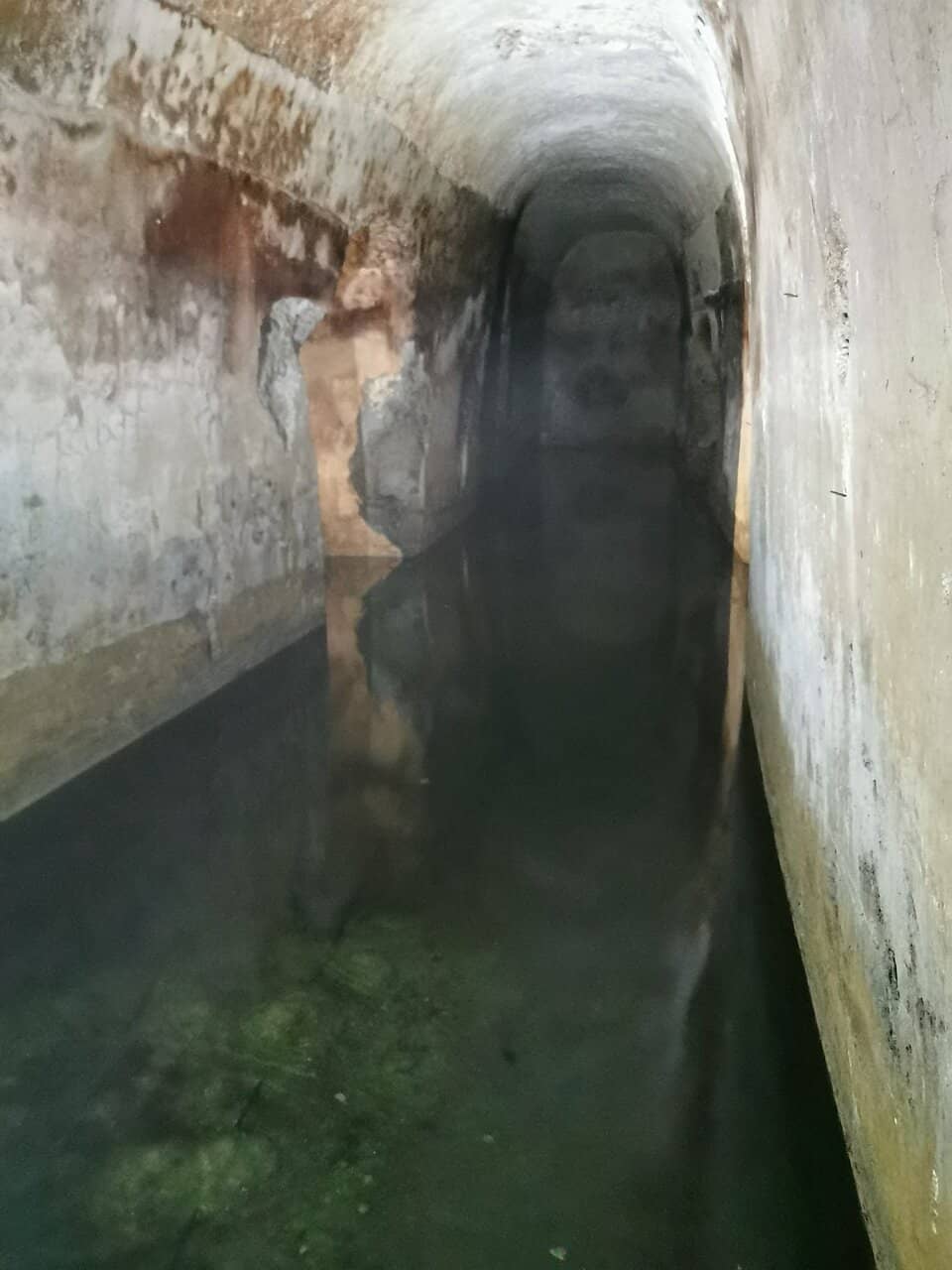 Evocative Labyrinthine Tunnels