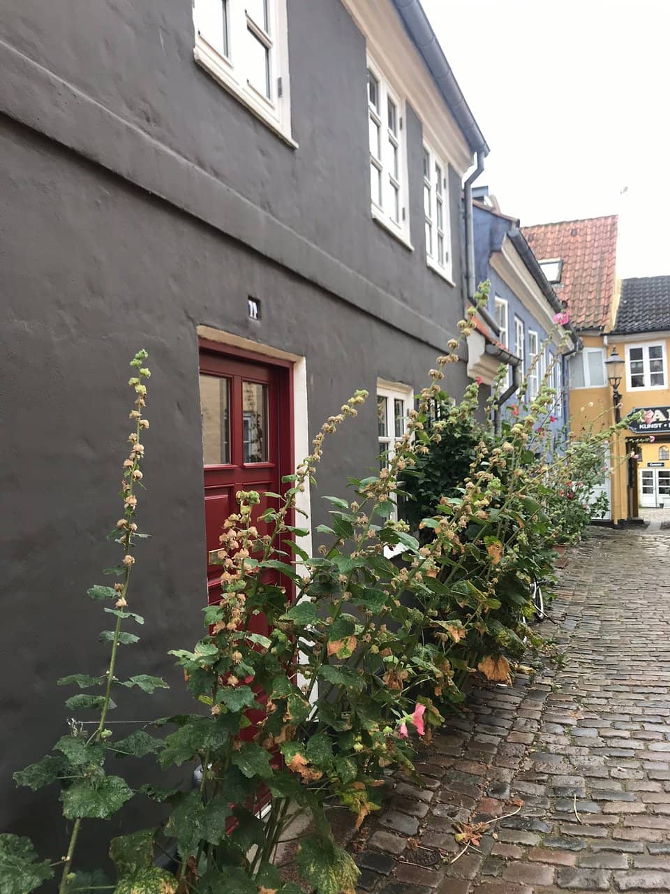 Atmospheric Cobblestone Alley