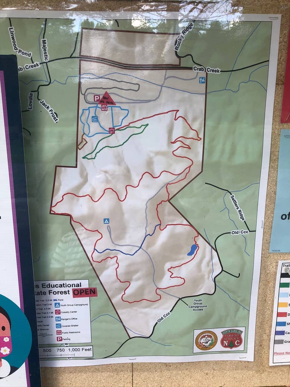 Forest Firefighting Equipment