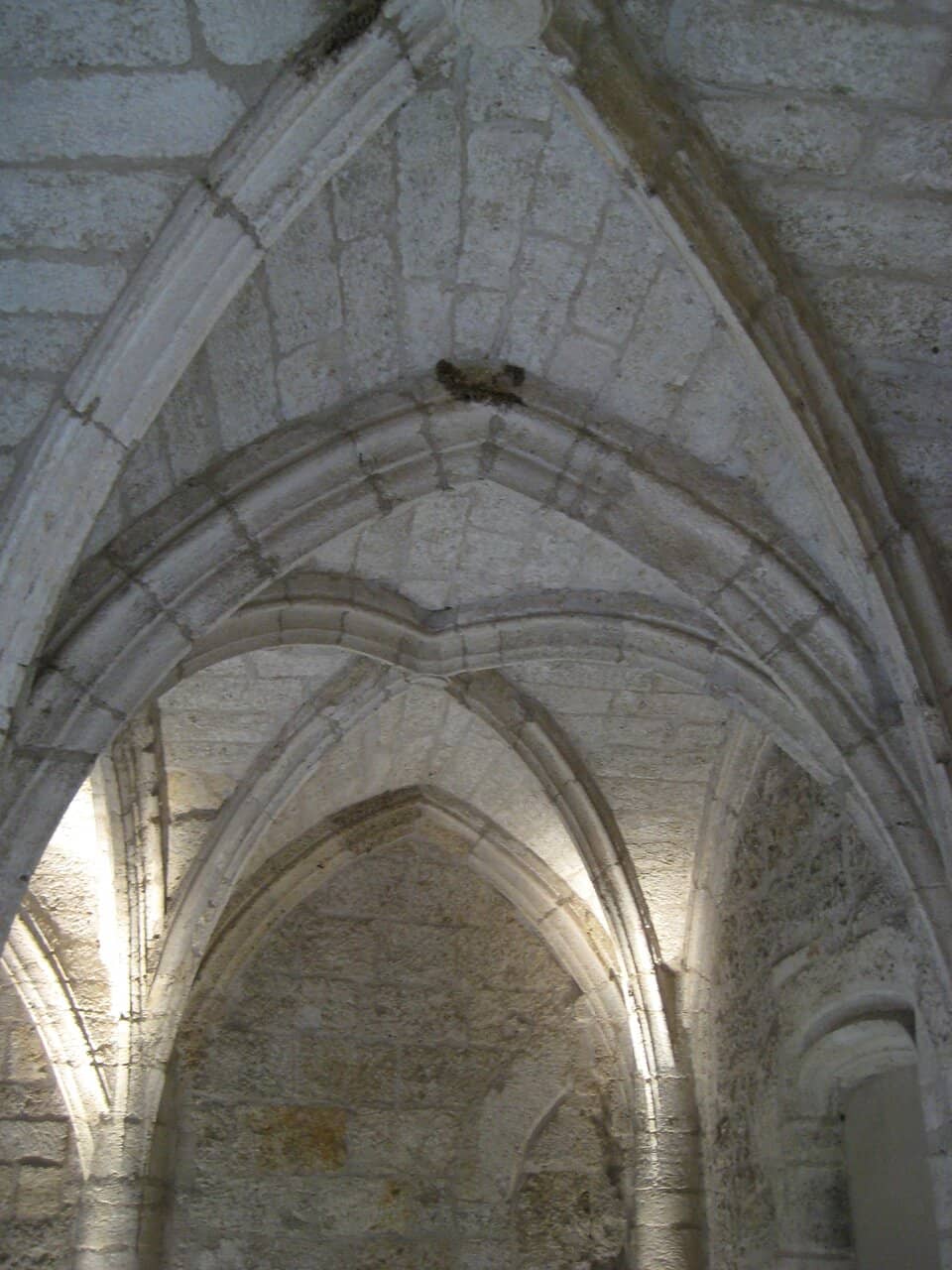 Art Gallery & Boutique