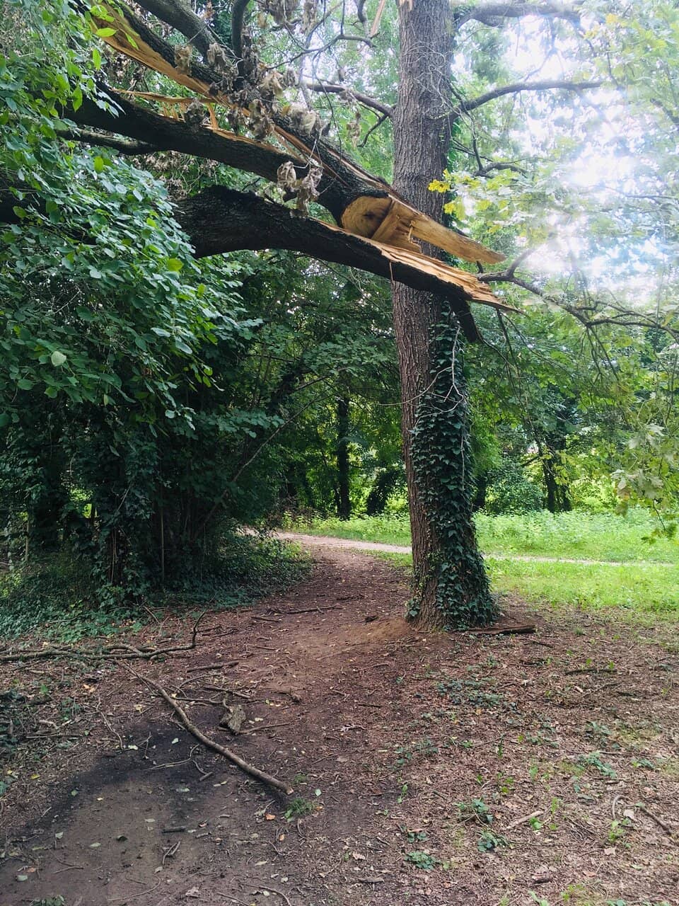 Surrounding Nature Trails