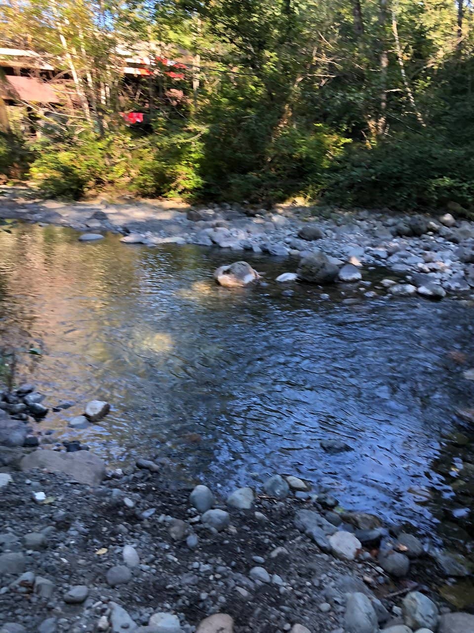 Tranquil Creek Views