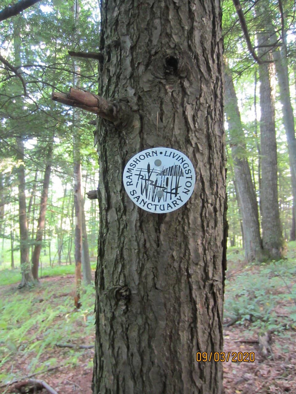 Wooded Trails & Marsh Views
