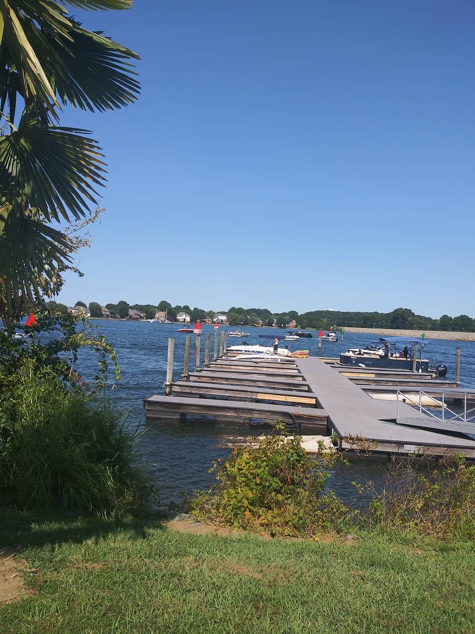 Lakefront Beach Area